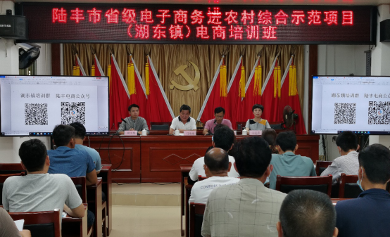 湖东镇电商培训班.png