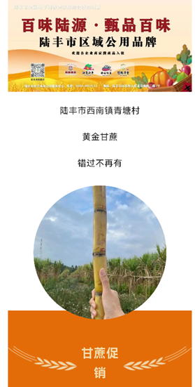 图片 3.png