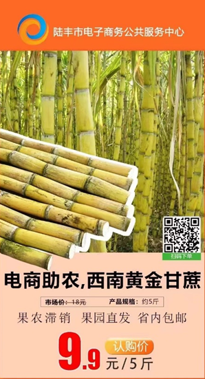 图片 5.png