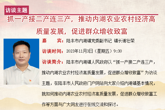 内湖镇.jpg
