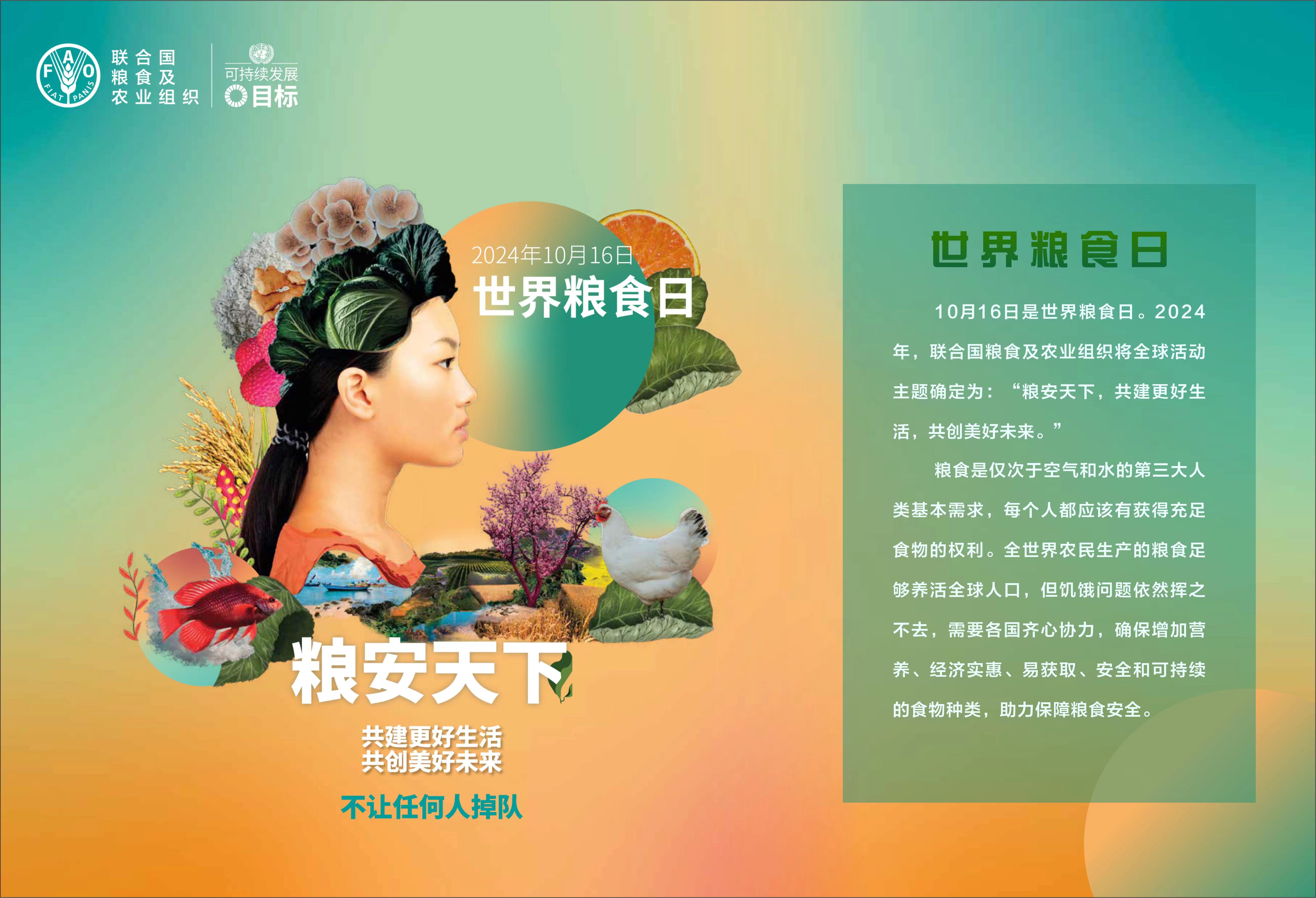 微信图片_20241010102539.jpg