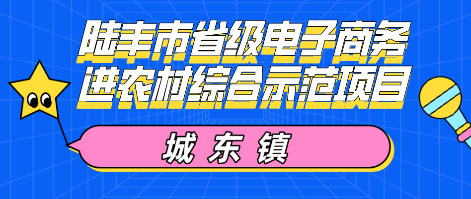 城东镇电商培训班.png