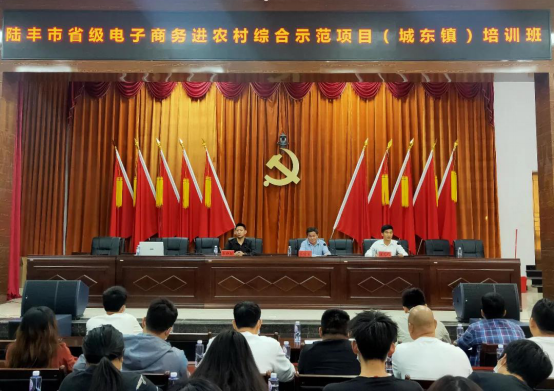 城东镇电商培训班.png