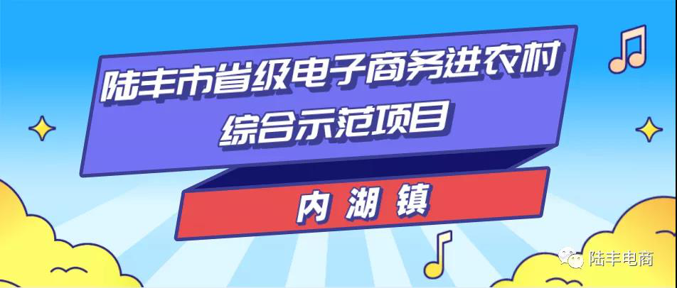 内湖镇电商培训班.png